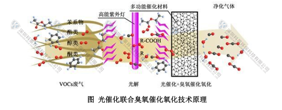 云顶国际集团(官网)首页登录