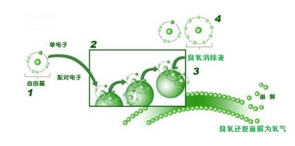 云顶国际集团(官网)首页登录